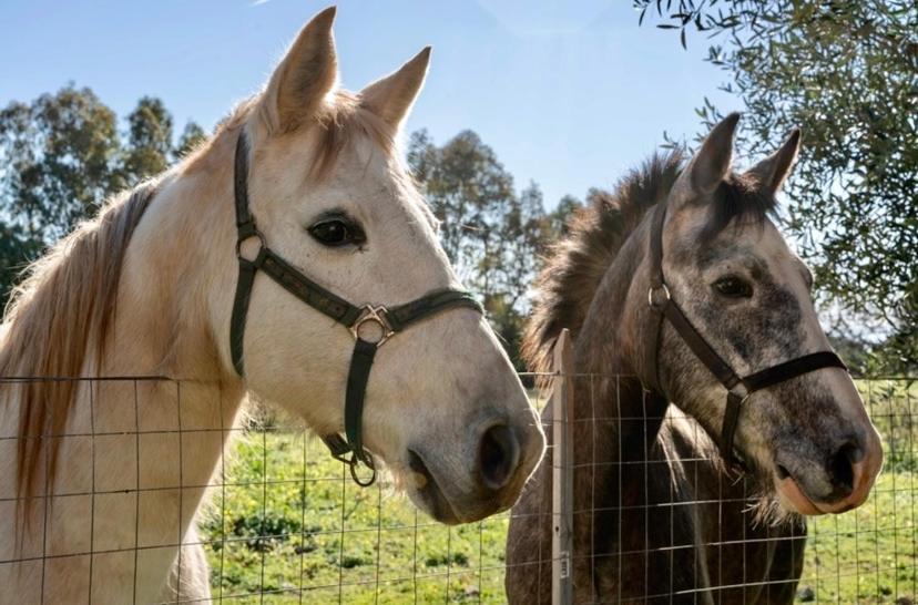 Casa Provence Family & Friends Mare & Natura ألغيرو المظهر الخارجي الصورة